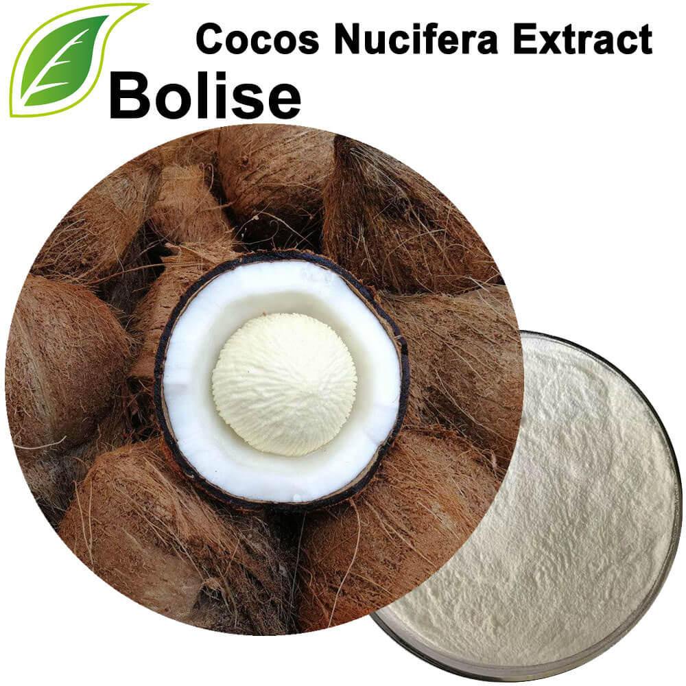 Cocos Nucifera (kokosový) ovocný extrakt