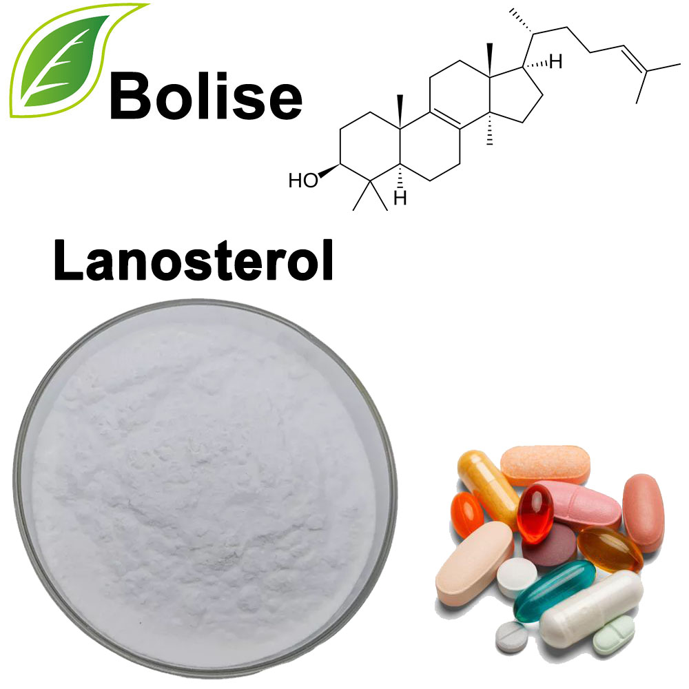 lanosterol