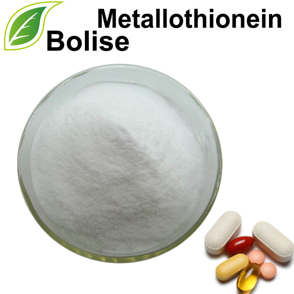Metallothioneïne