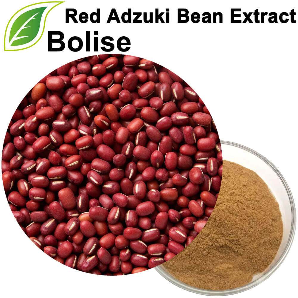 Red Adzuki Bean Extract
