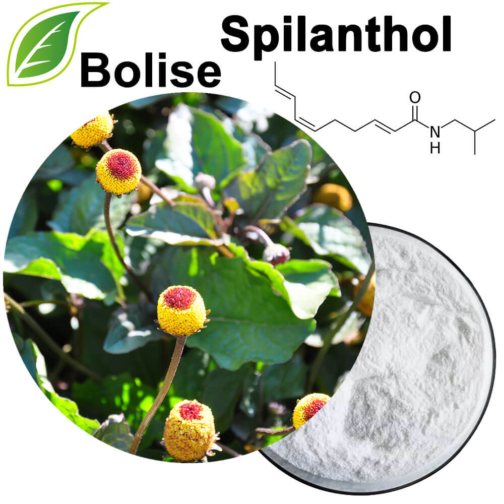 Spilanthol