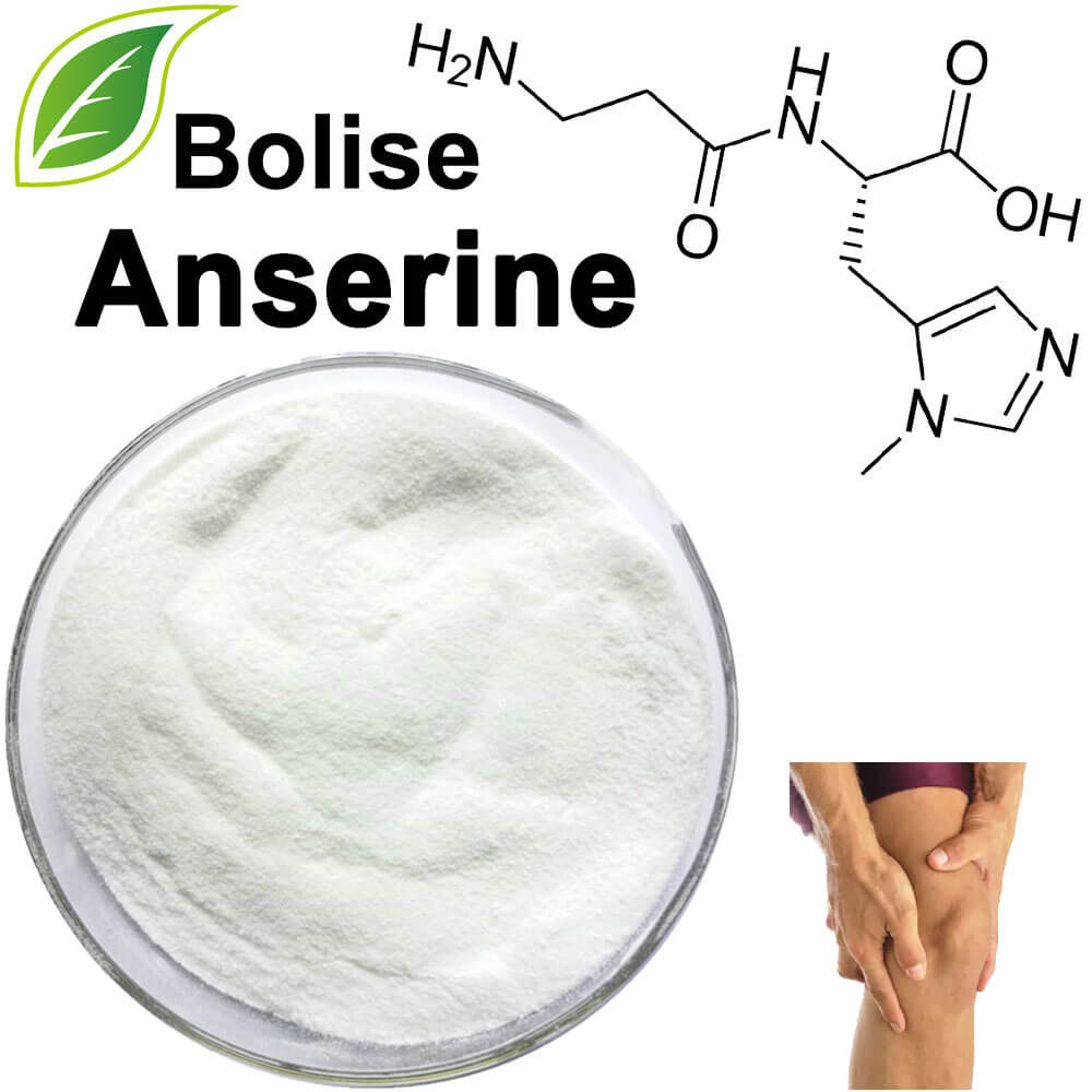 Anserine