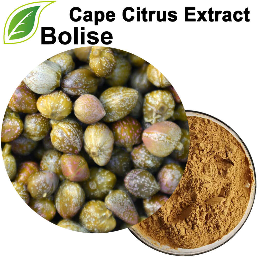 Cape Citrus extrakt