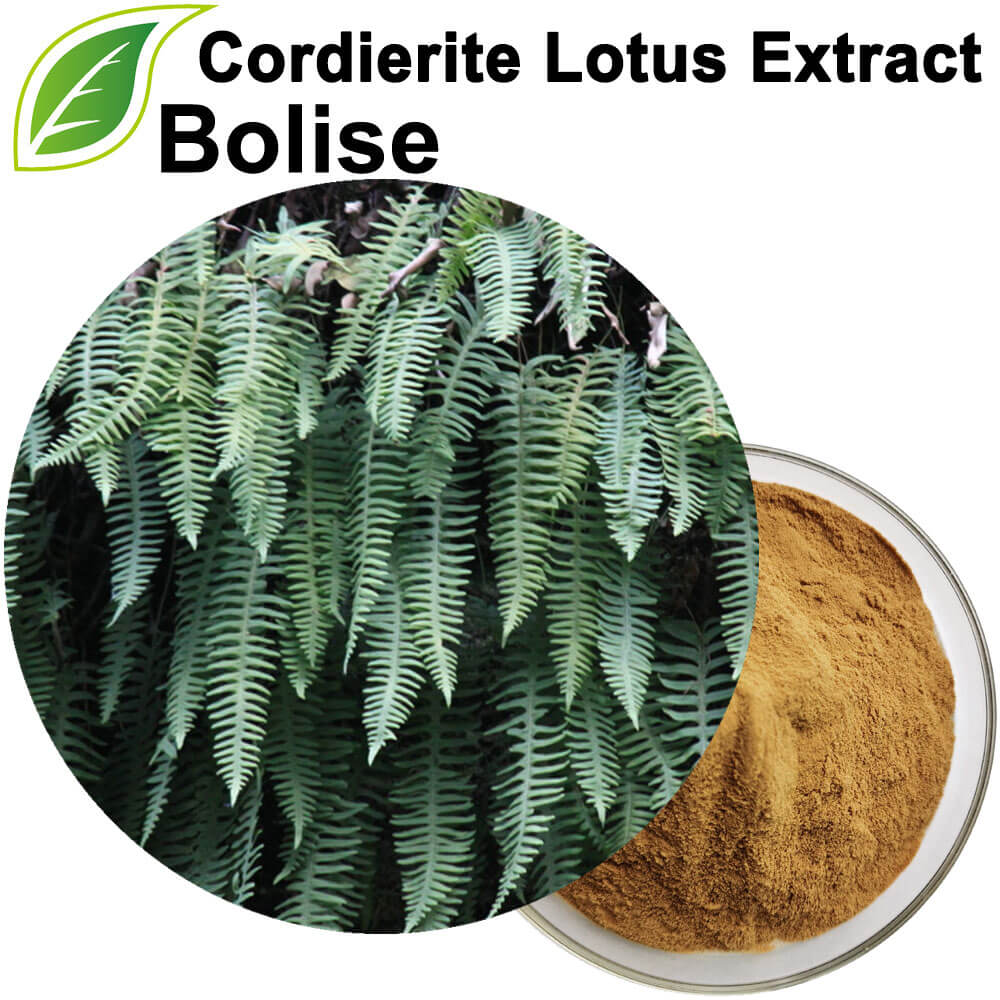 Cordierite Lotus Extrakt