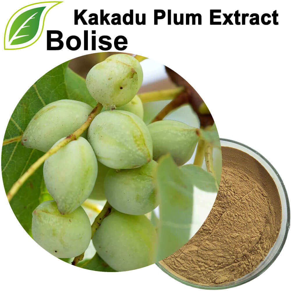 Kakadu Plum Extract Kakadu Plum Extract