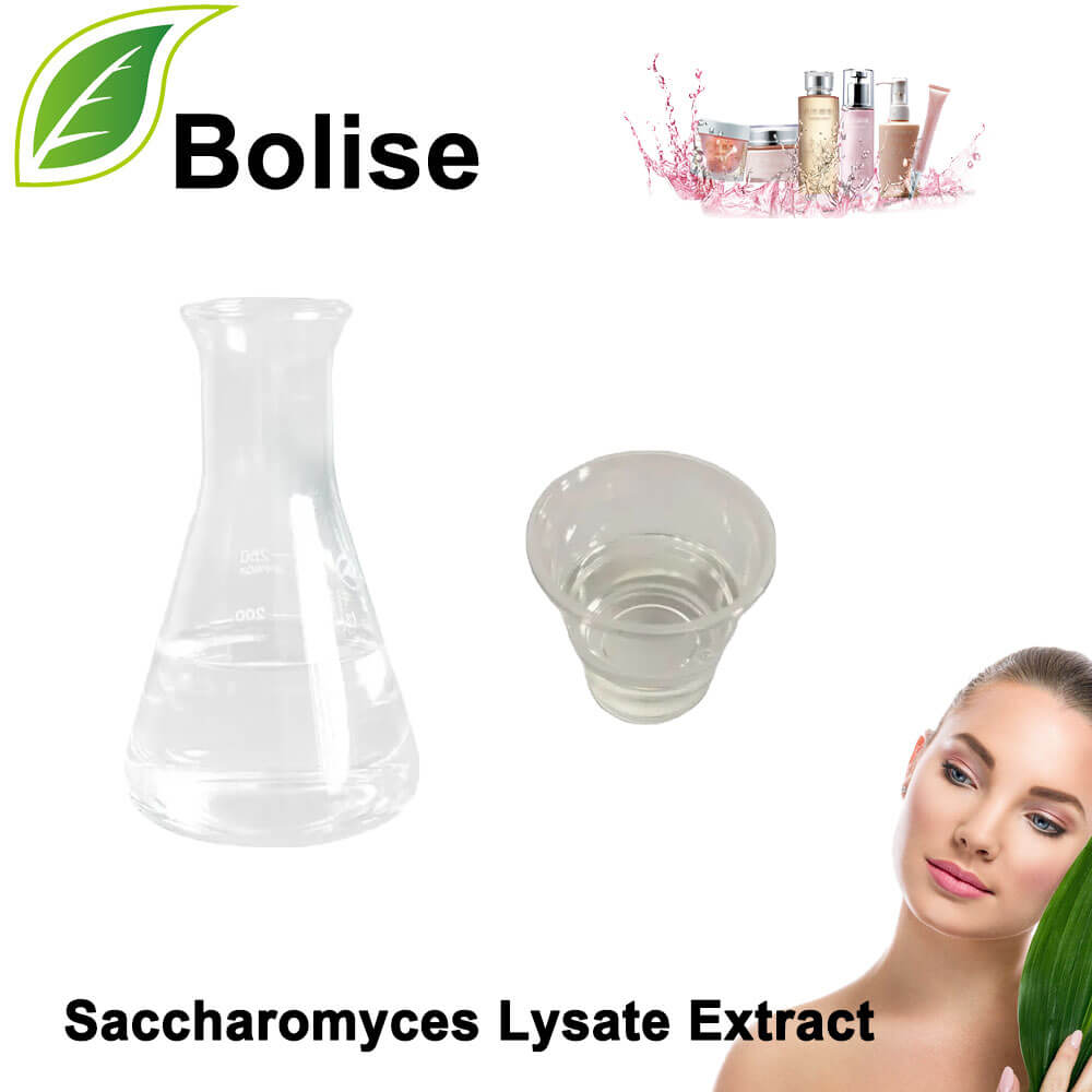 Saccharomyces Lysate Extract