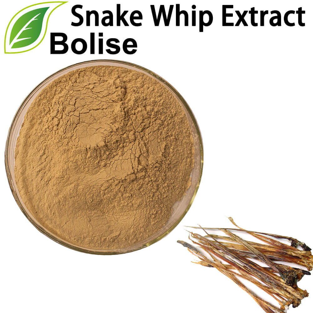 Snake Whip Extrakt