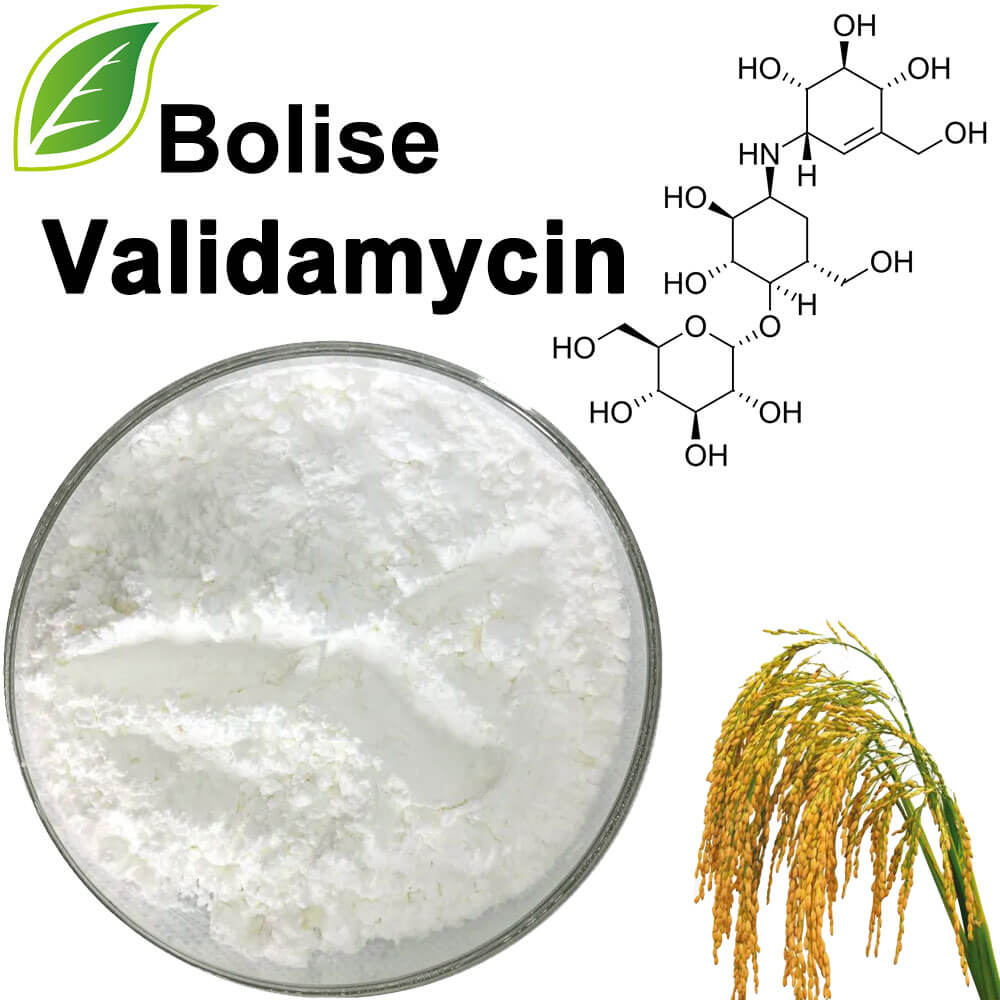 Validamicin