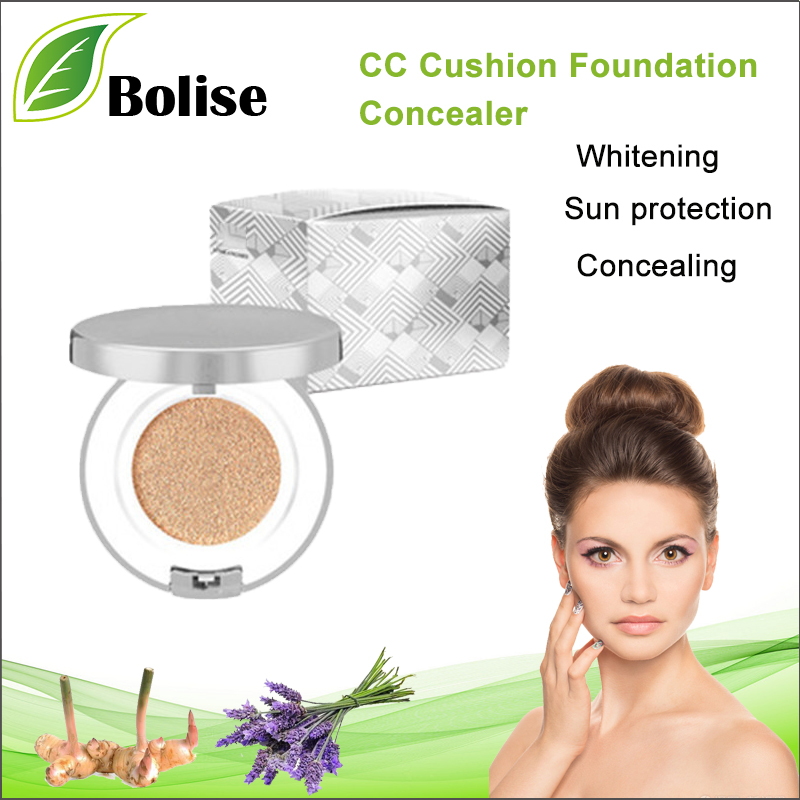 CC Cushion Foundation concealer