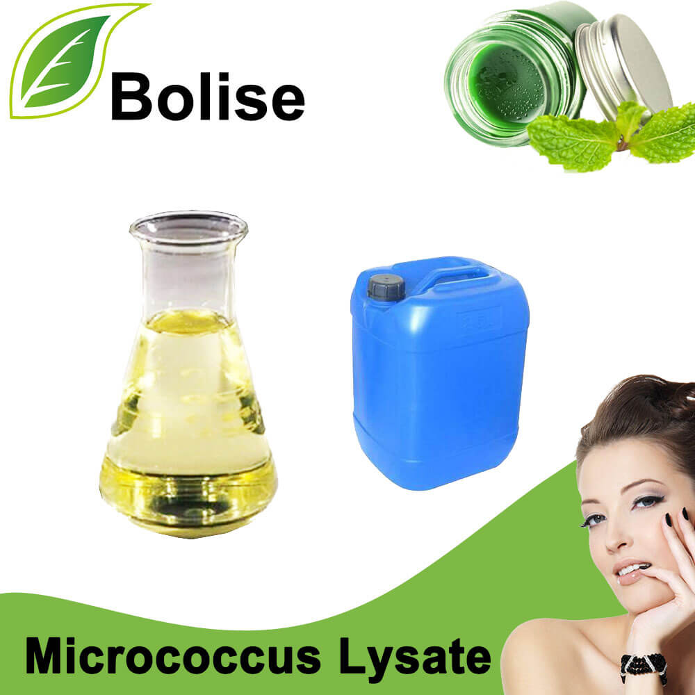 Lysate Micrococcus
