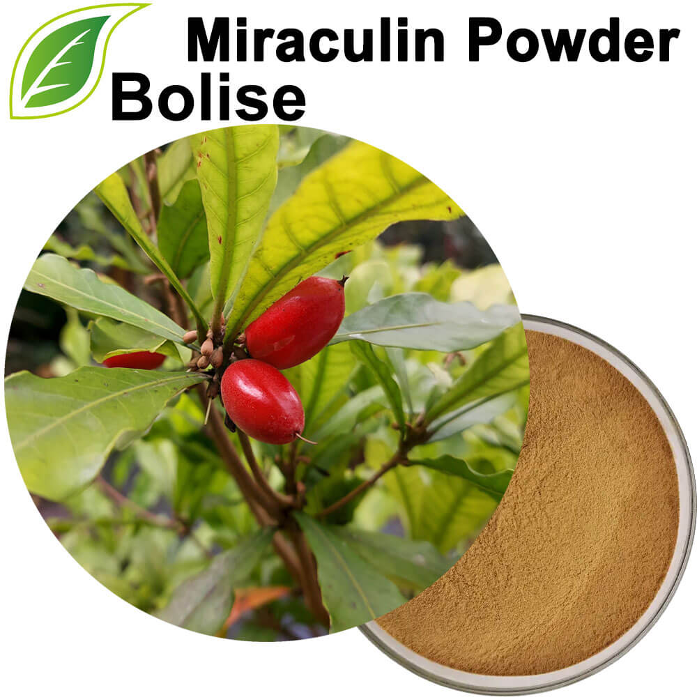 Poudre de miraculine