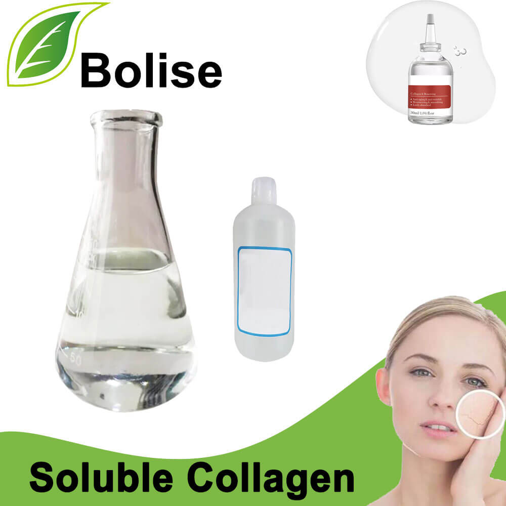 Soluble Collagen
