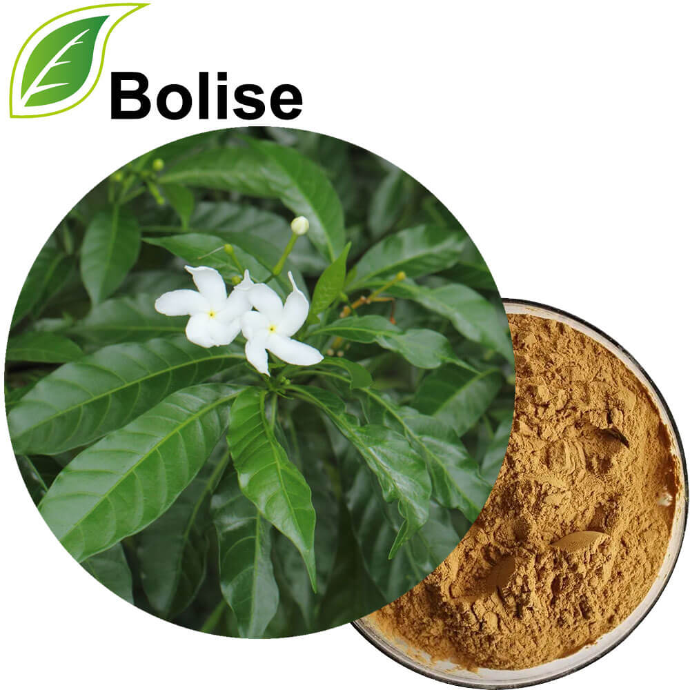 Tabernaemontana Divaricata Extract Tabernaemontana Divaricata Extract