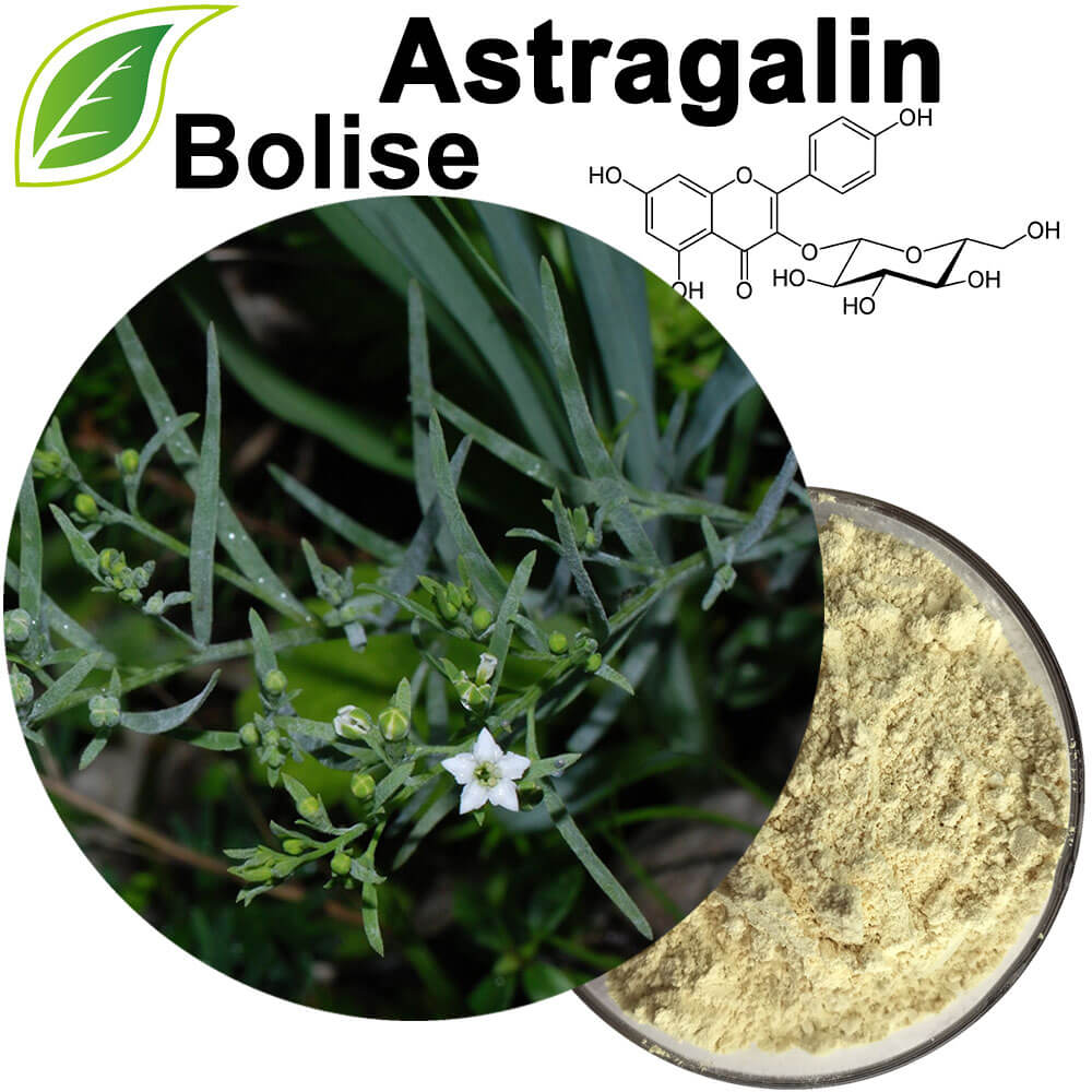 Astragalīns