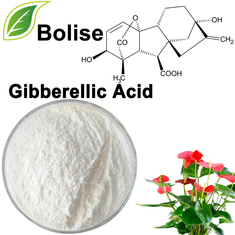 Asid Gibberellic