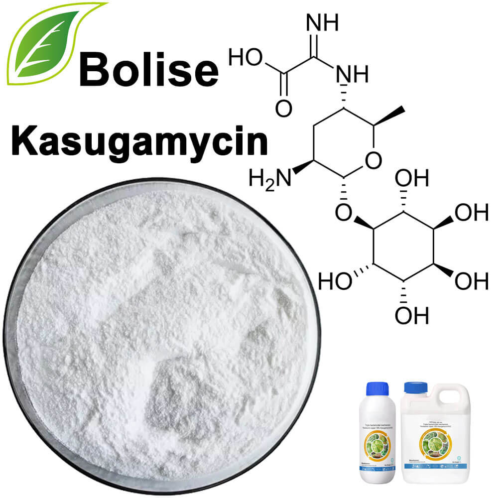 Kasugamycine