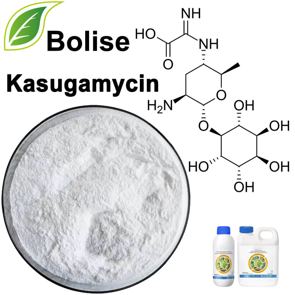 Kasugamicina