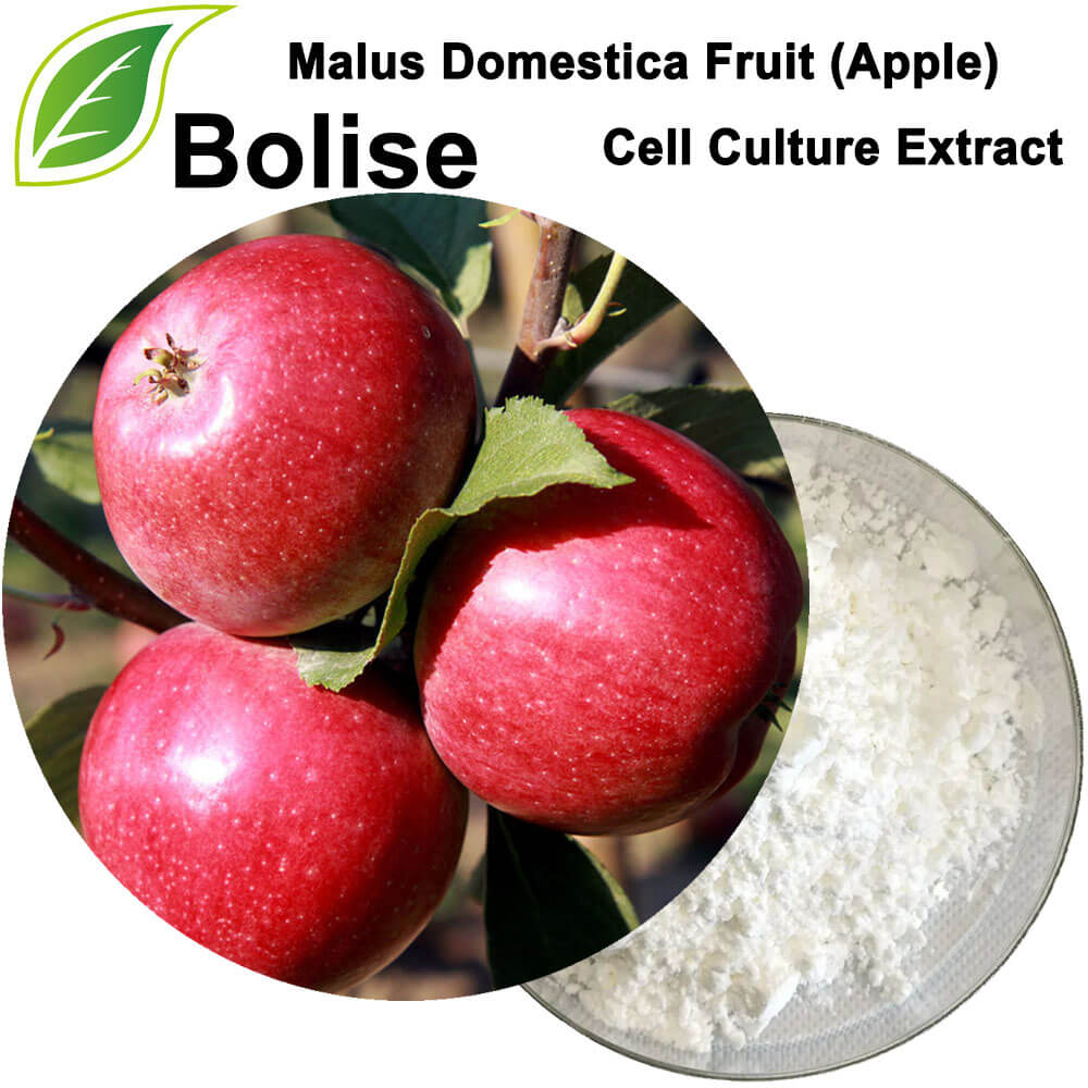 Izvleček celične kulture sadja Malus Domestica (jabolko).