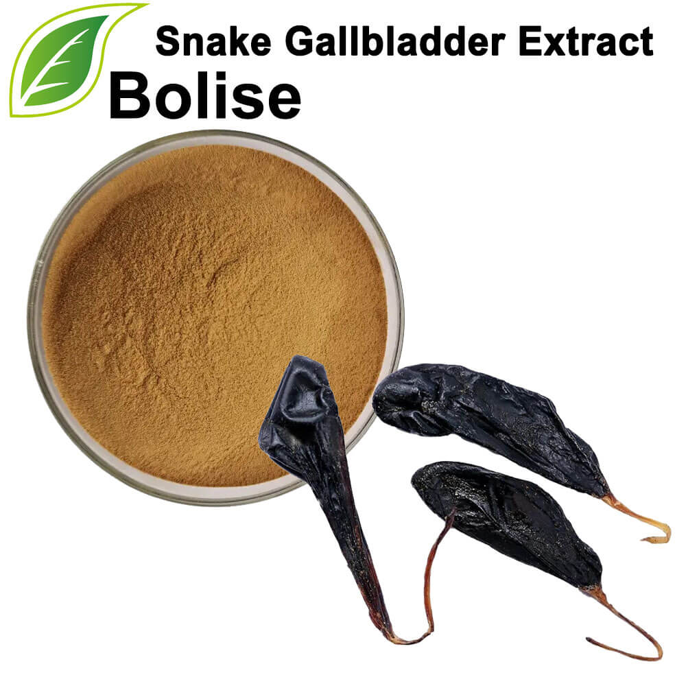 Extract ng Snake Gallbladder