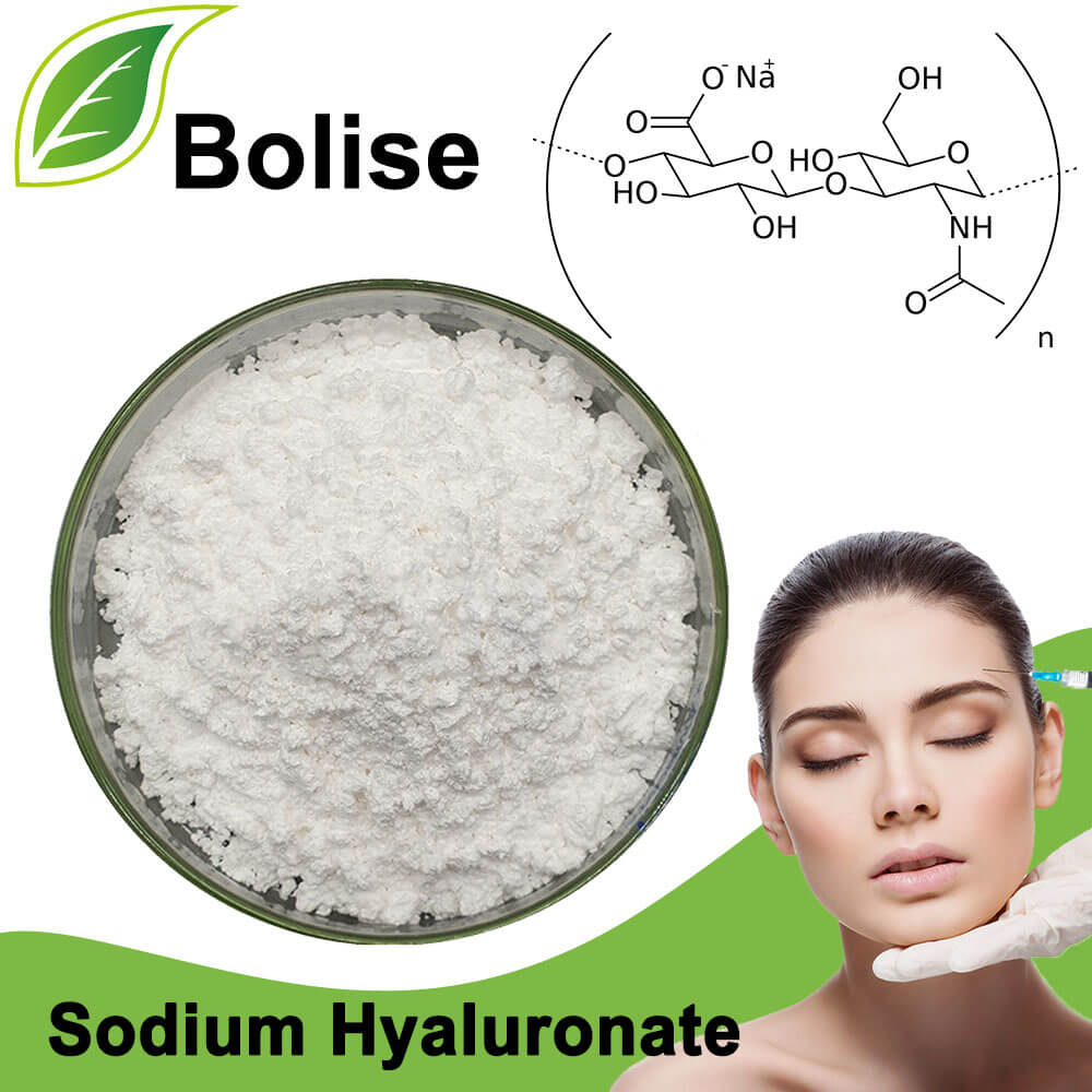 सोडियम Hyaluronate