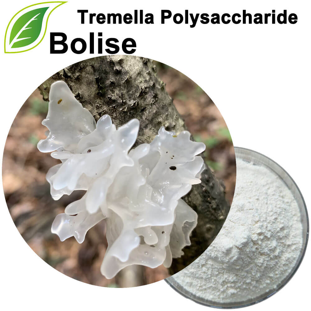 Tremella Polisakkariti