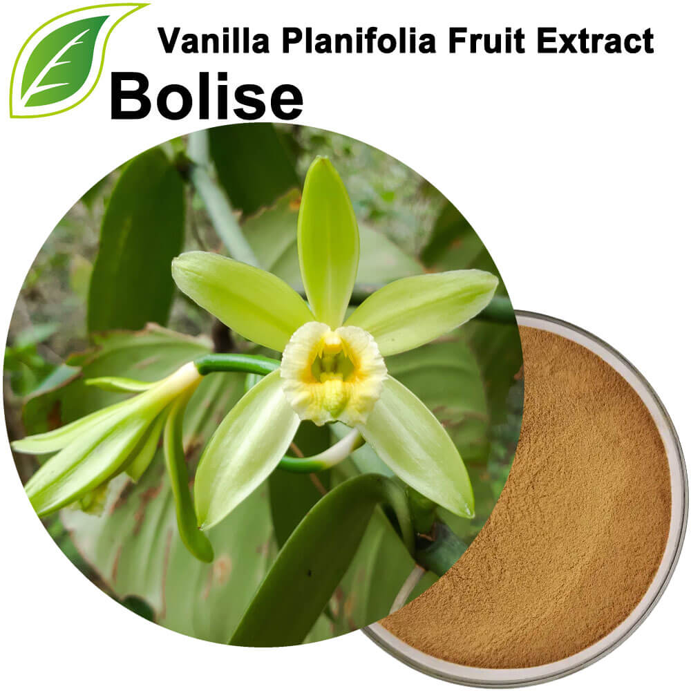 Vanille-Planifolia-Fruchtextrakt