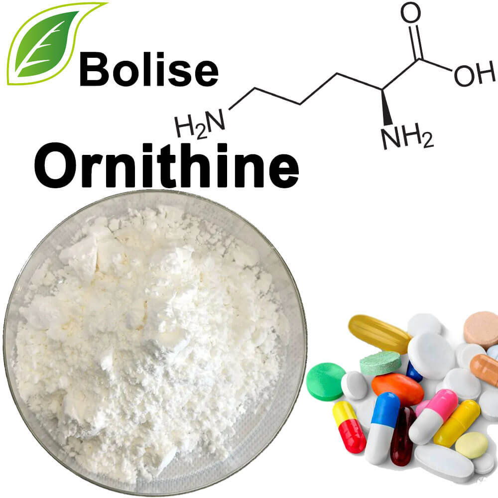 ornithine