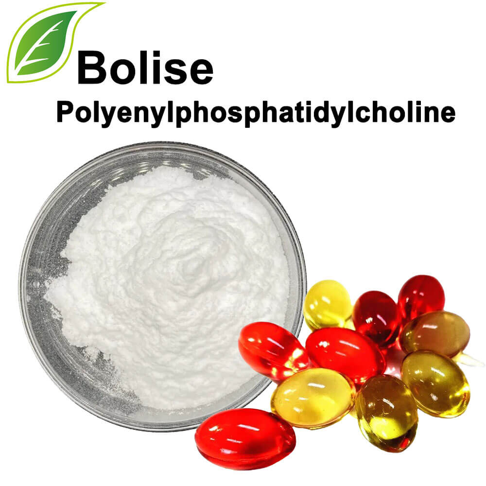 Polyenylfosfatidylkolin (PPC)