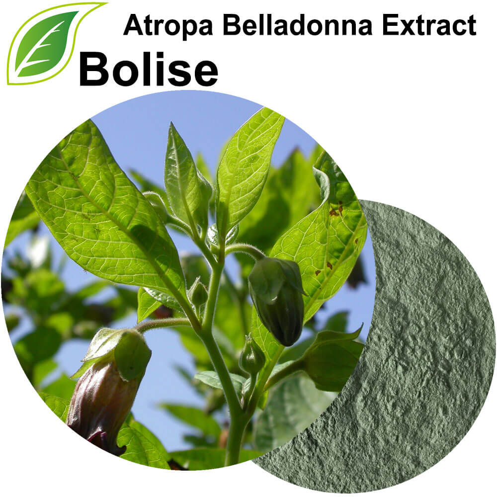 Ekstrak Atropa Belladonna