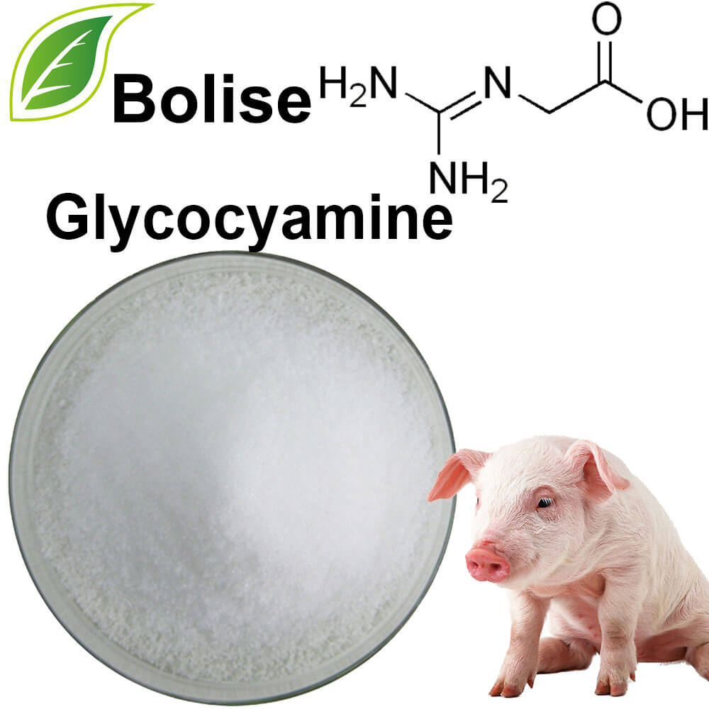 Glycocyamine (aigéad Guanidinoacetic)