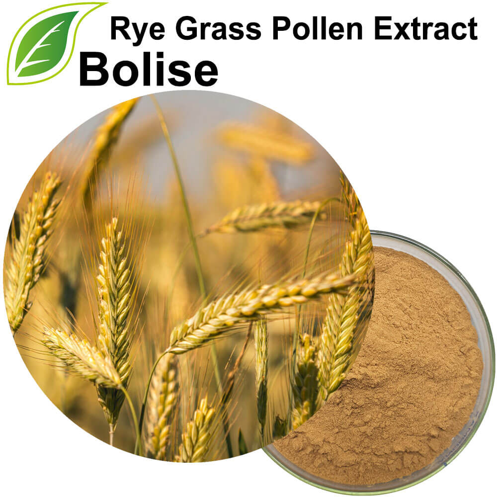 Rye Grass Pollen Extract