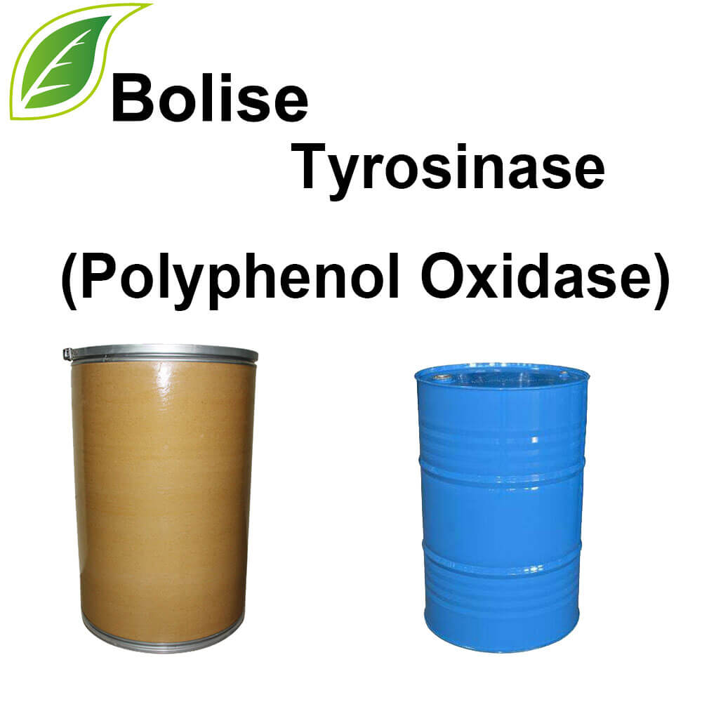 Tirosinasa (polifenol oxidasa)