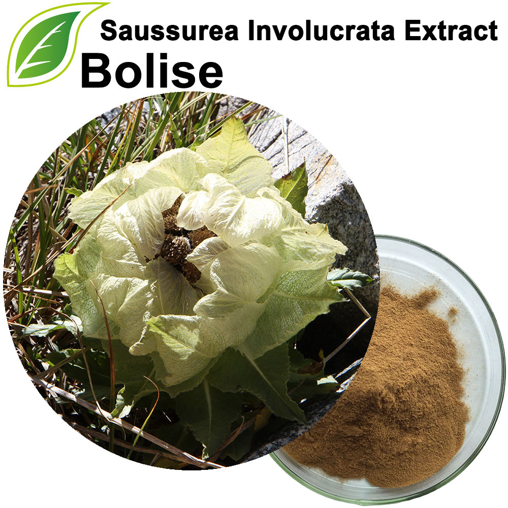 Saussurea Involucrata-ekstrakt