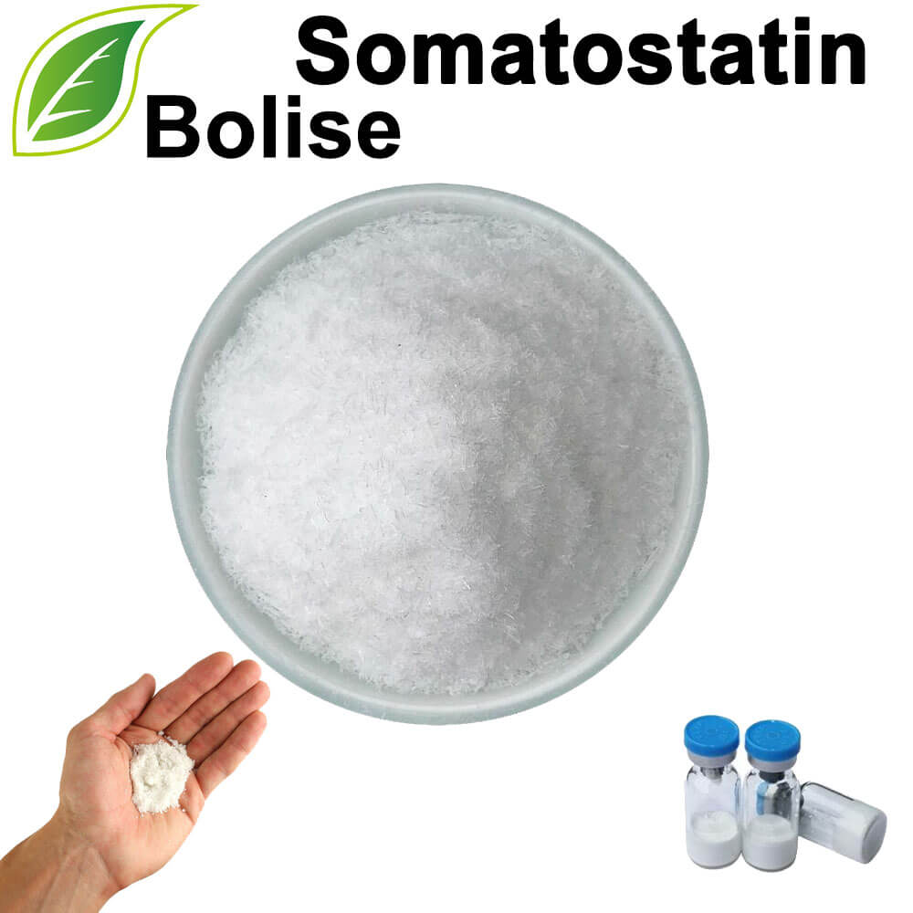 Somatostatina