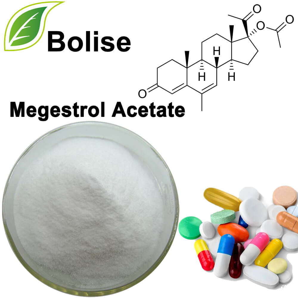 Megestrol acetat