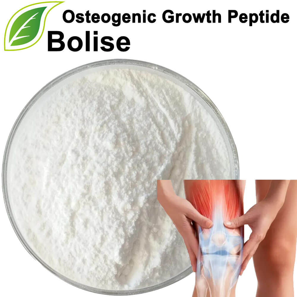 Osteogenic Growth Peptide