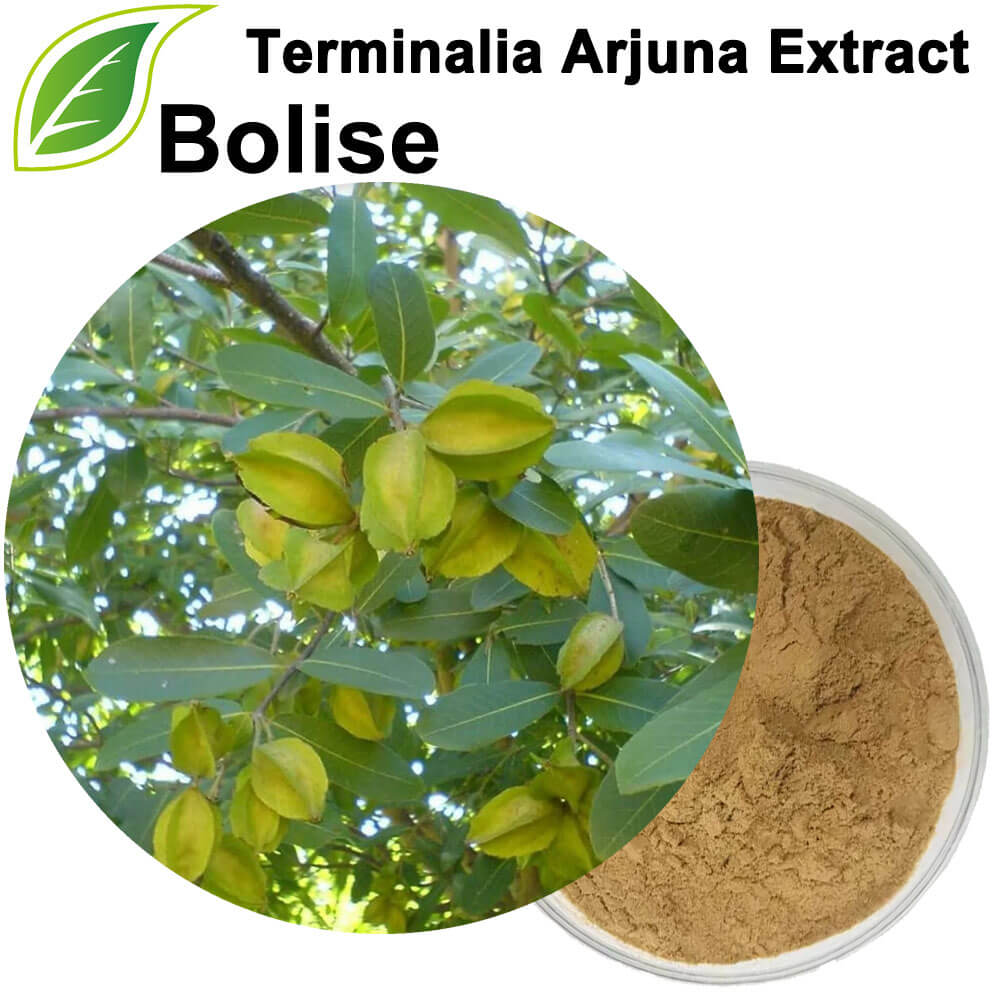 Terminalia Arjuna Extract