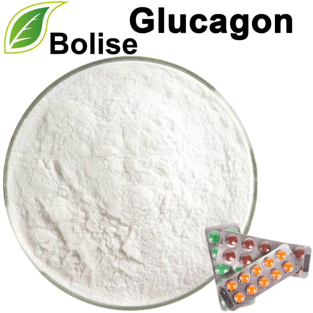 glucagon