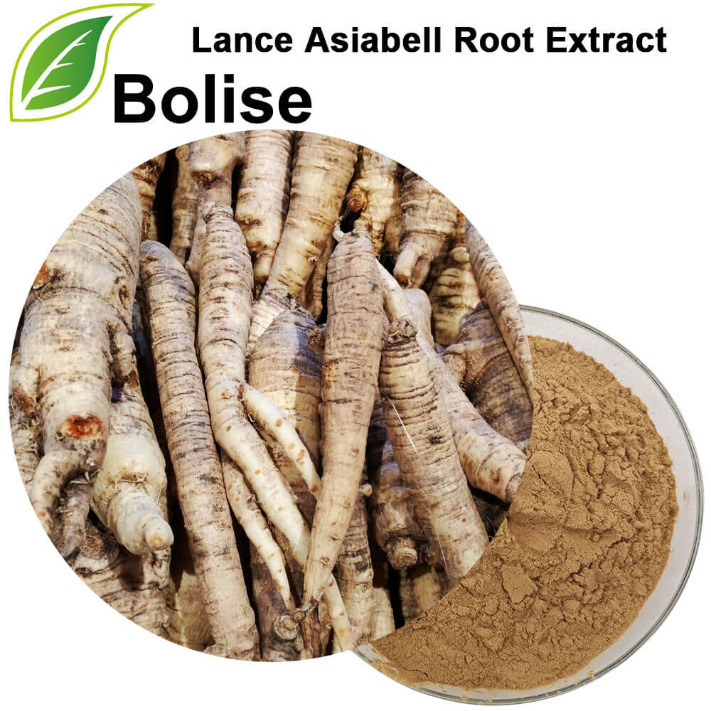 Lance Asiabell Root Extract