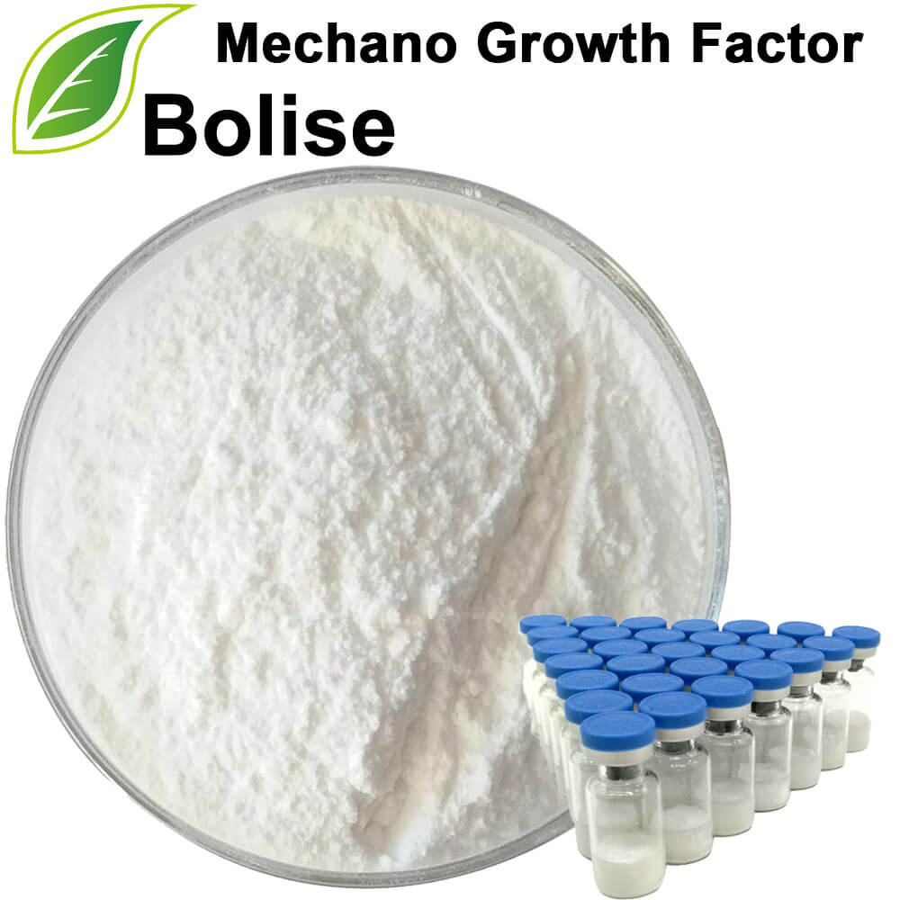 Mechano Growth Factor