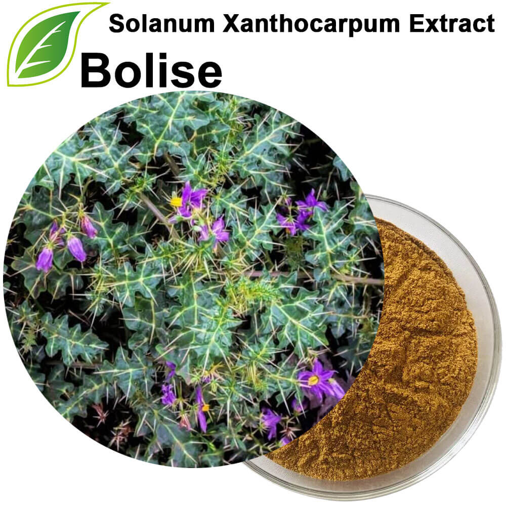 Solanum Xanthocarpum Extract