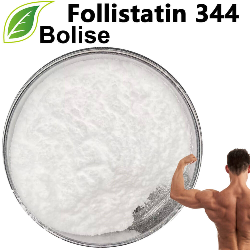 Folistatin 344