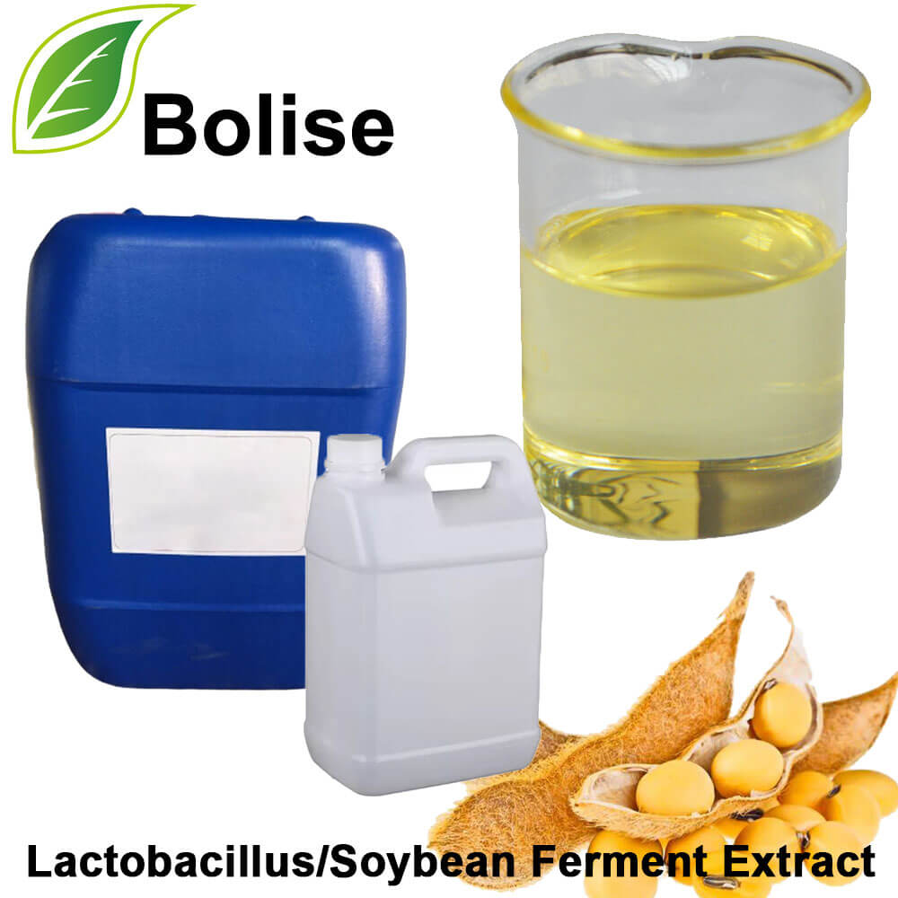 Lactobacillus/Soybean Extract Ferment Filtrate Lactobacillus/Soybean Extract Ferment Filtrate