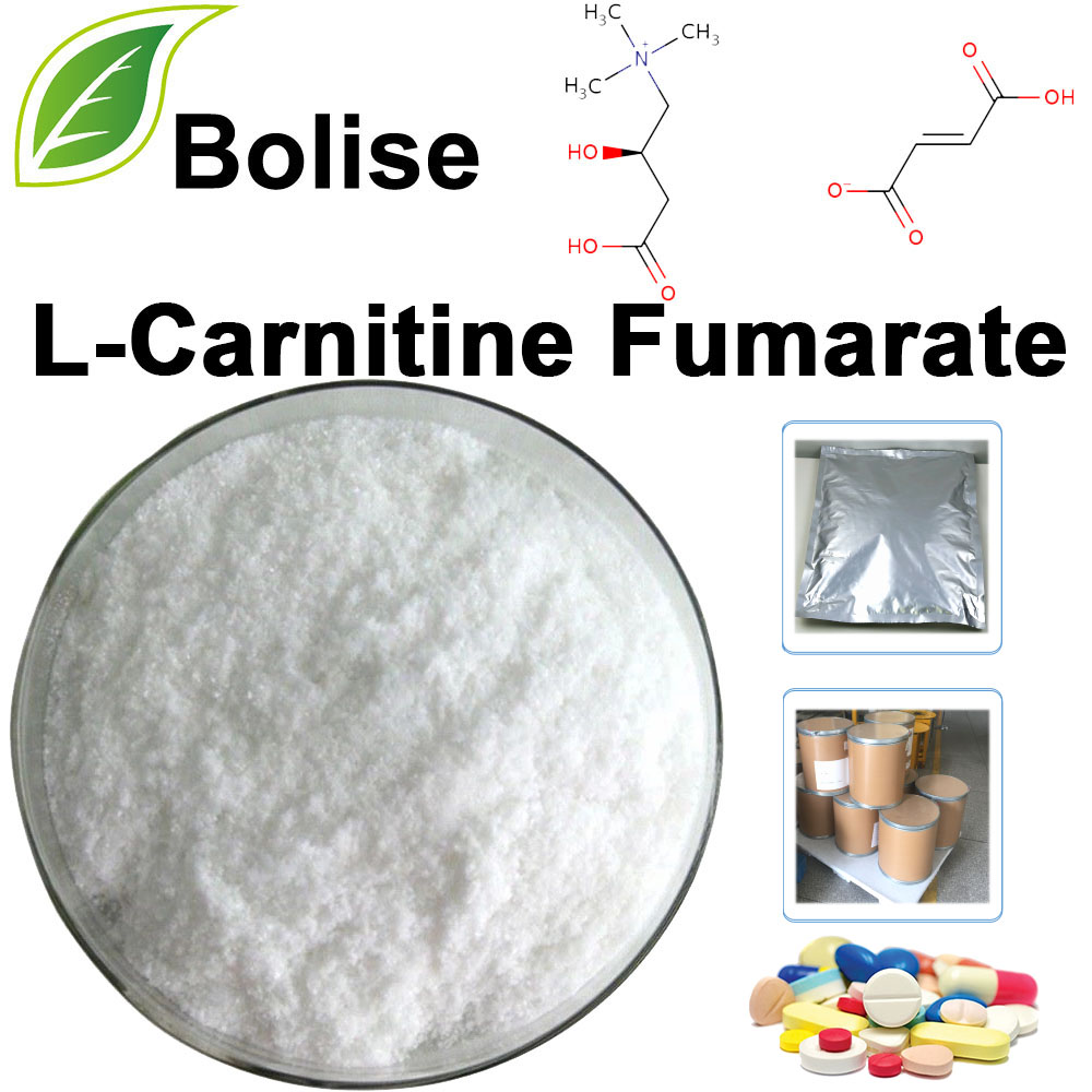 L-Carnitine Fumarate L-Carnitine Fumarate