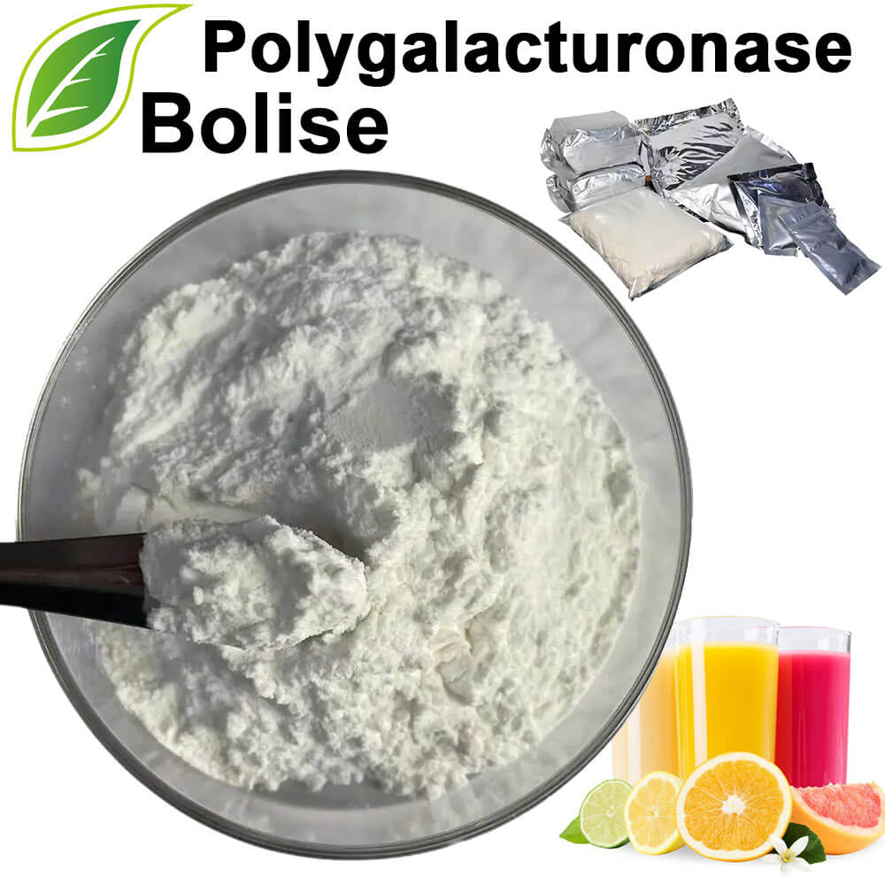 Polygalacturonase