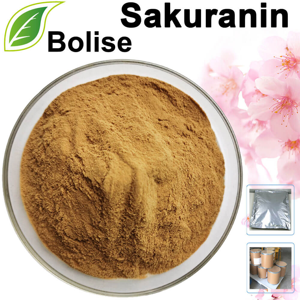 Sakuranin Sakuranin