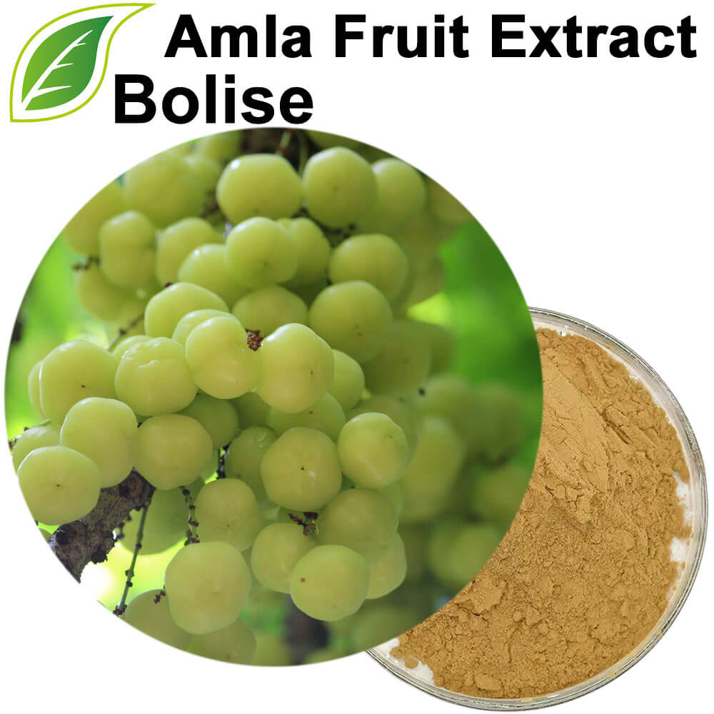 Amla Extract Amla Extract