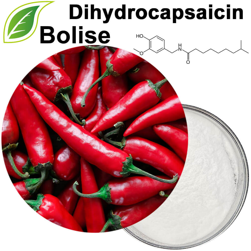 Dihydrocapsaicin Dihydrocapsaicin