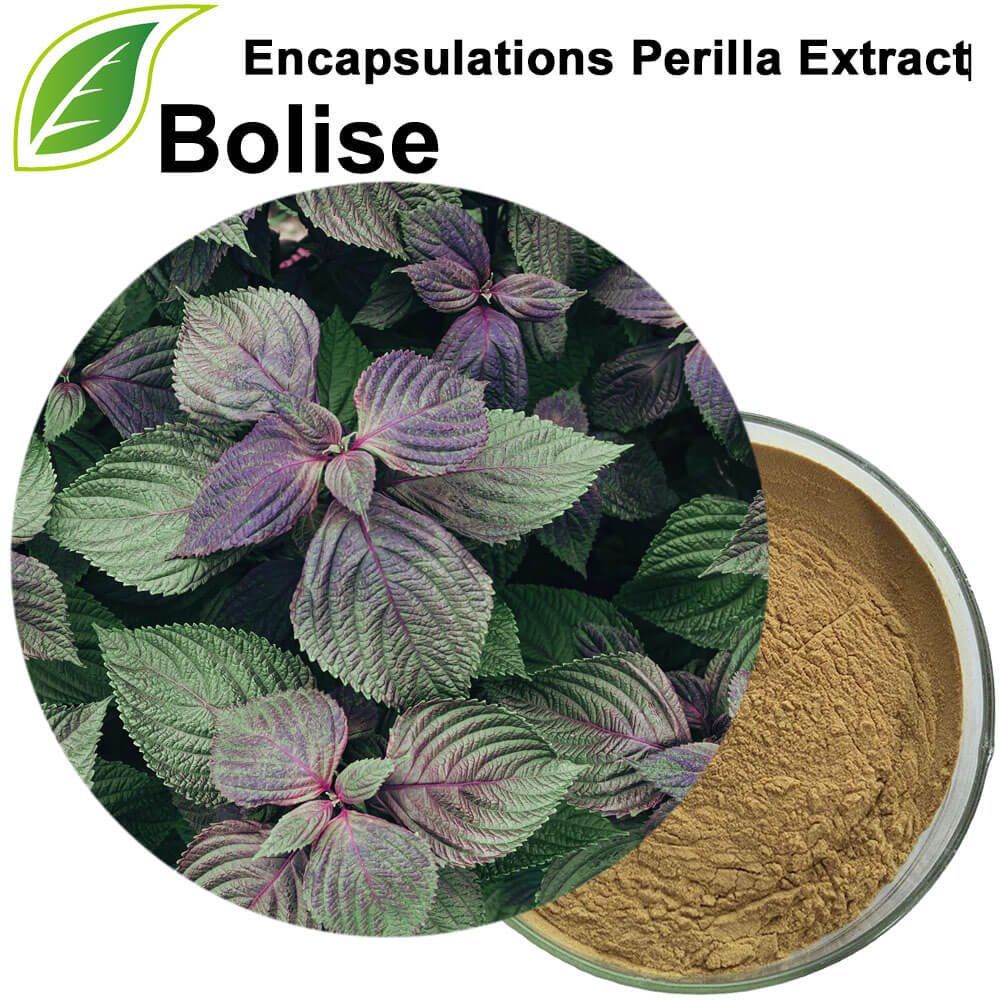 Encapsulations Perilla Extract Encapsulations Perilla Extract