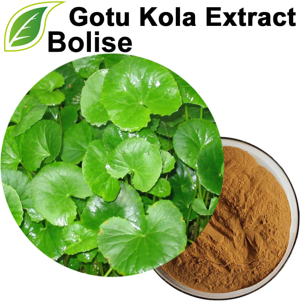 Gotu Kola Extract(Centella Asiatica Extract) Gotu Kola Extract(Centella Asiatica Extract)